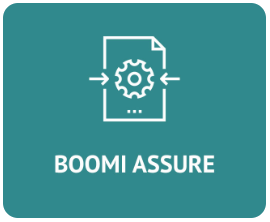 Boomi Assure